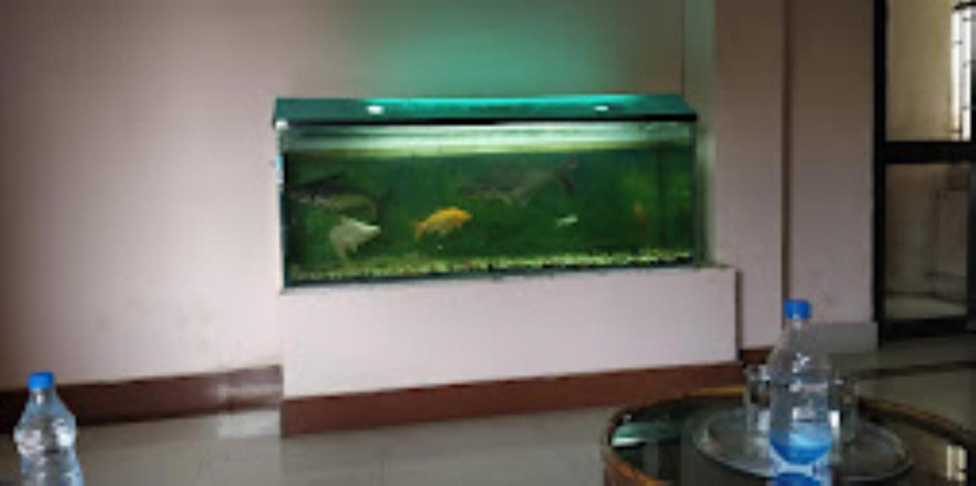 Hotel Blue Wheel,Bhubaneswar Exterior foto